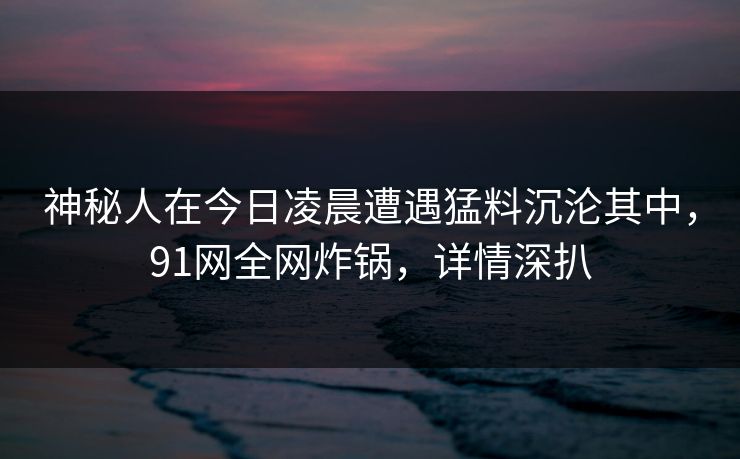 神秘人在今日凌晨遭遇猛料沉沦其中，91网全网炸锅，详情深扒