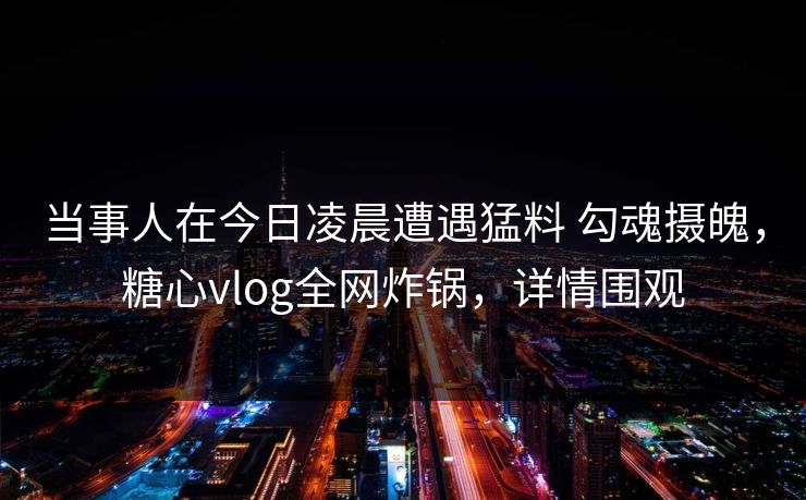 当事人在今日凌晨遭遇猛料 勾魂摄魄，糖心vlog全网炸锅，详情围观