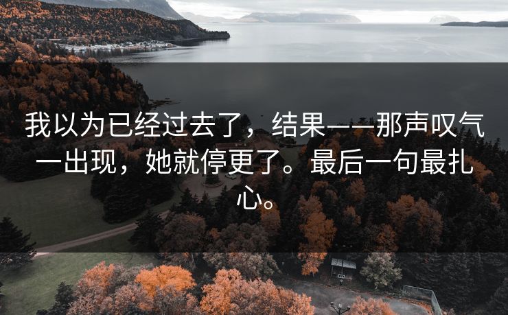 我以为已经过去了，结果——那声叹气一出现，她就停更了。最后一句最扎心。