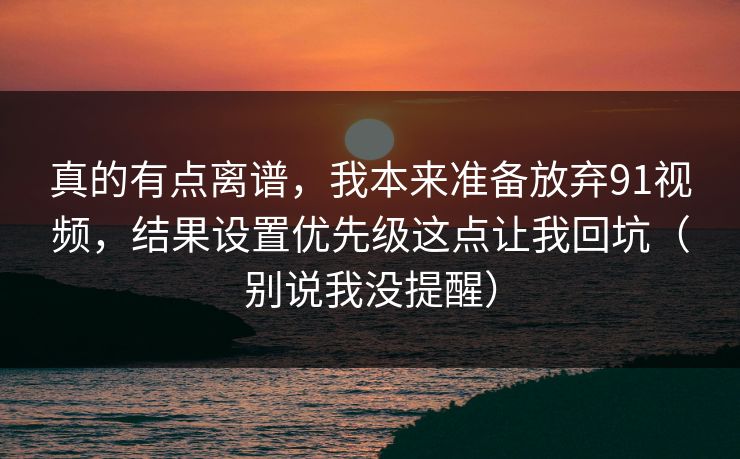 真的有点离谱，我本来准备放弃91视频，结果设置优先级这点让我回坑（别说我没提醒）